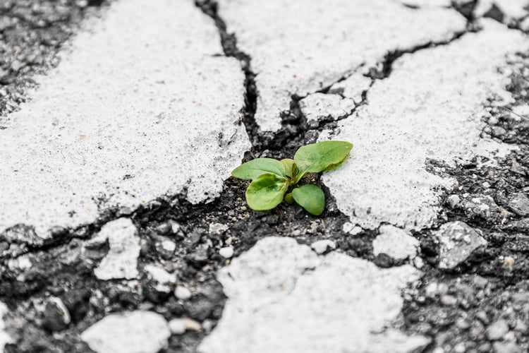 featured image for post: Are We Resilient Yet? Metrics, Heatmaps and a Roadmap