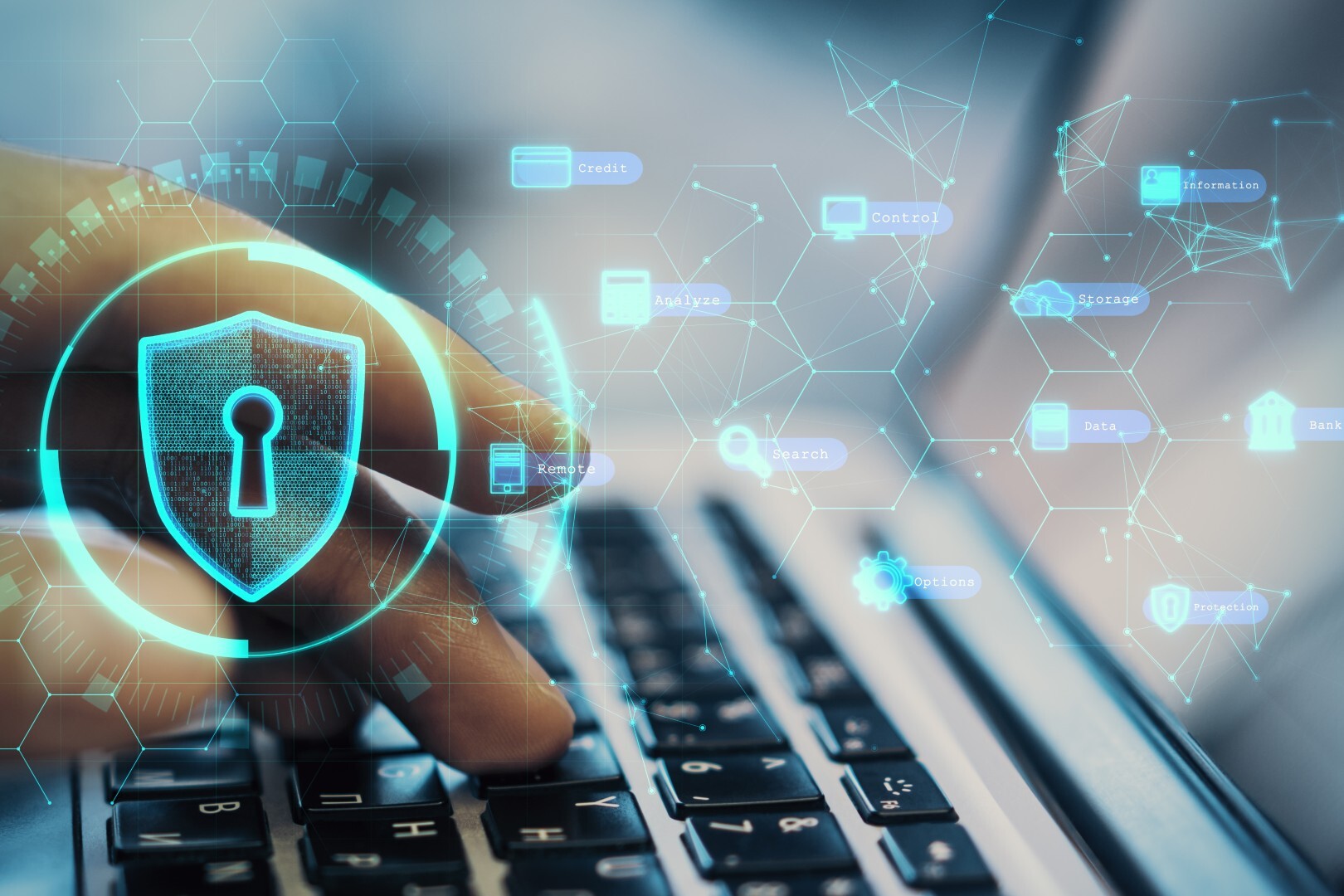 vulnerability-reduction-3_resized